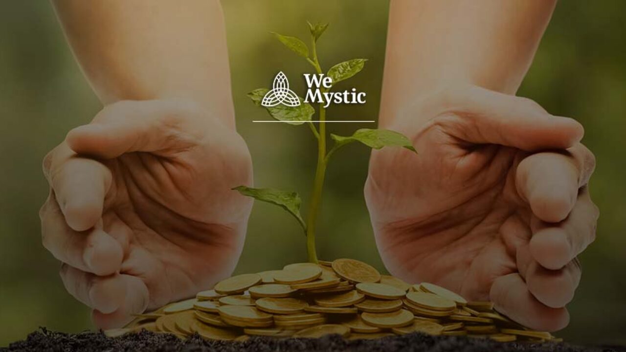 7 plantas que atraem sorte e prosperidade financeira para a sua vida! -  Wemystic